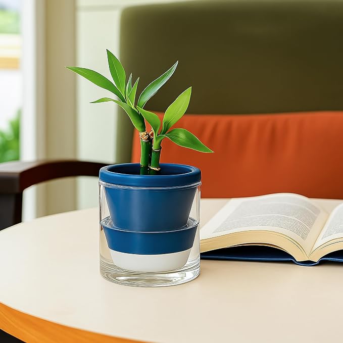 D'vine Dev 4 Inch Design Self Watering Planter - Image 3