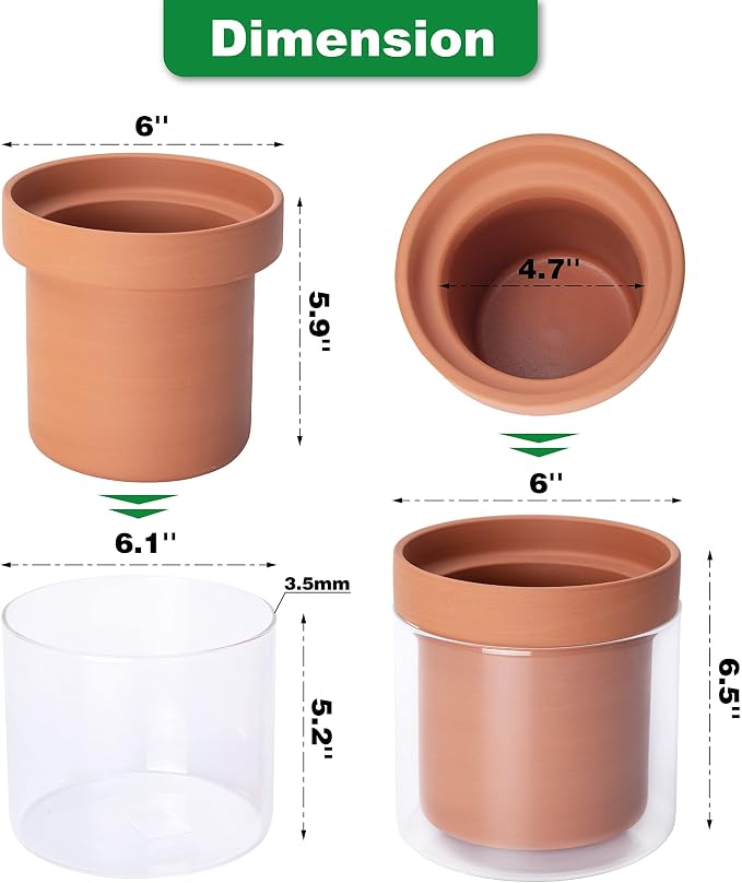 Phoenix Vine 6 Inch Self Watering Planter Pot, Terracotta Clay Pot - Image 3