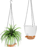 GARDIFE hanging planter, 8 inch hanging planters by GARDIFE