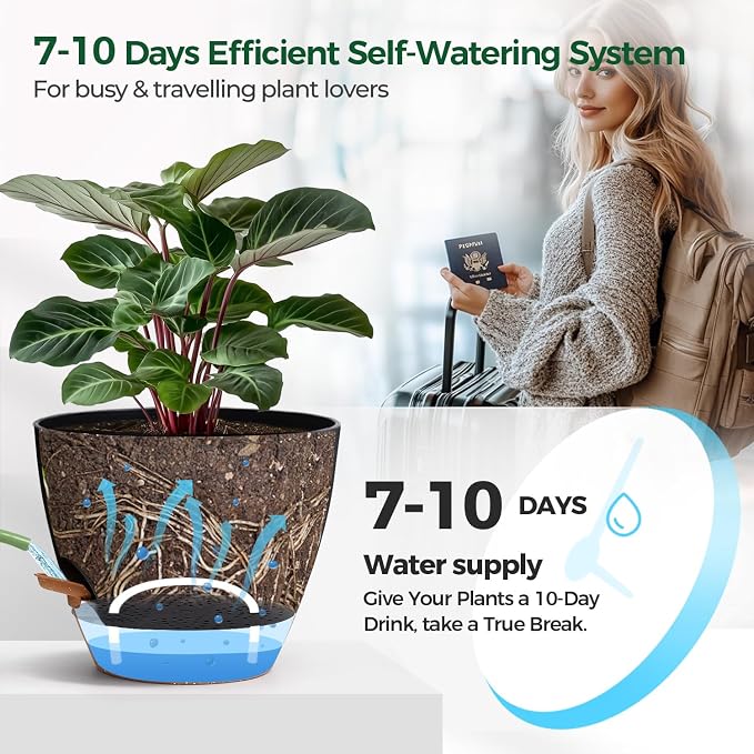 T4U 6 Inch Self Watering Pots for Indoor Plants - Image 4