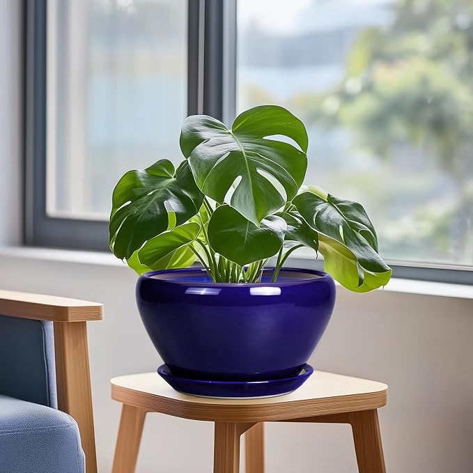 Planter for Indoor Plants 9 Inch - Image 4