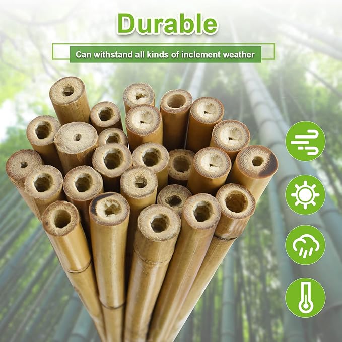 10pcs 1" D Thicker Heavy Duty Bamboo Stakes, 8FT Plant Stakes, Natural Garden - Image 4
