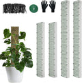 60"/40"/24" Metal Moss Pole, D Shape Sphagnum Moss Pole, Moss Poles by HOLANHING
