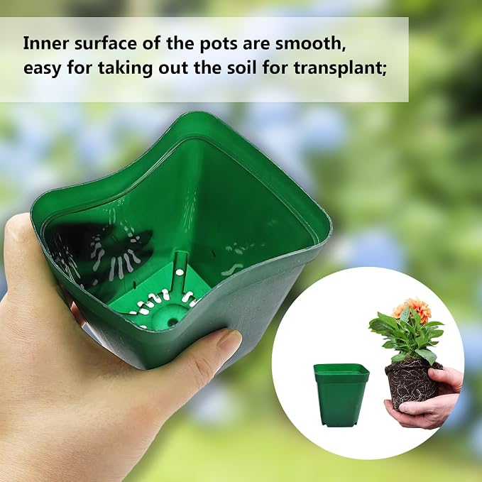 Square Seedling Nursery Pots 3.15 Inches 100 Pcs - Image 3