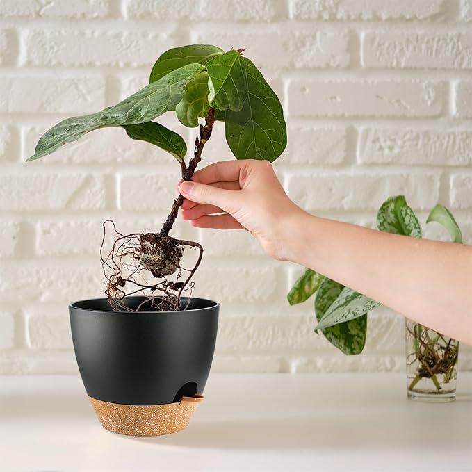 Self Watering Plants Pot with Drainage Hole, Flower Plants Pots - Image 6