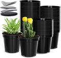 40 Pack 4 Inch Plant Nursery Pots by RooTrimmer