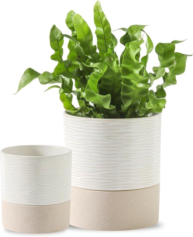 Nihow Self Watering Plant Pot for Indoor Plants: 4.5+6 Inch Ceramic Planter by Nihow