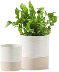 Nihow Self Watering Plant Pot for Indoor Plants: 4.5+6 Inch Ceramic Planter by Nihow