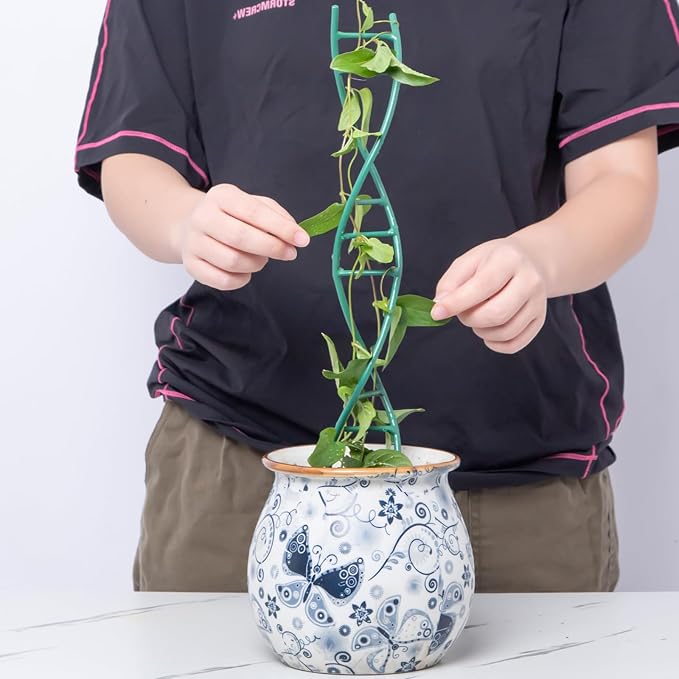 Indoor Plant Trellis for Potted Plants - Image 4