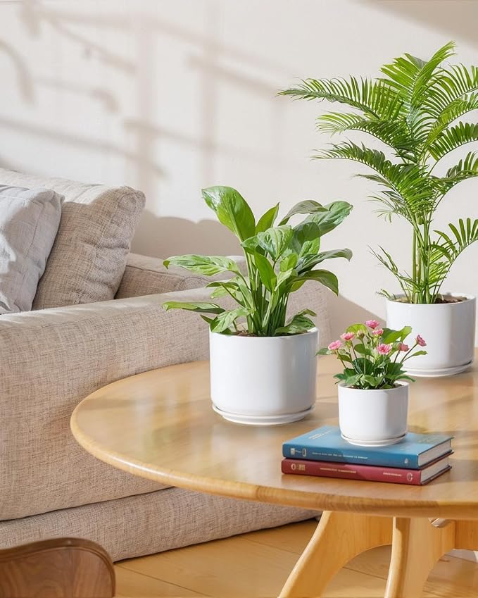 EFISPSS Plant Pots, 4+5+6 Inch Pots - Image 5
