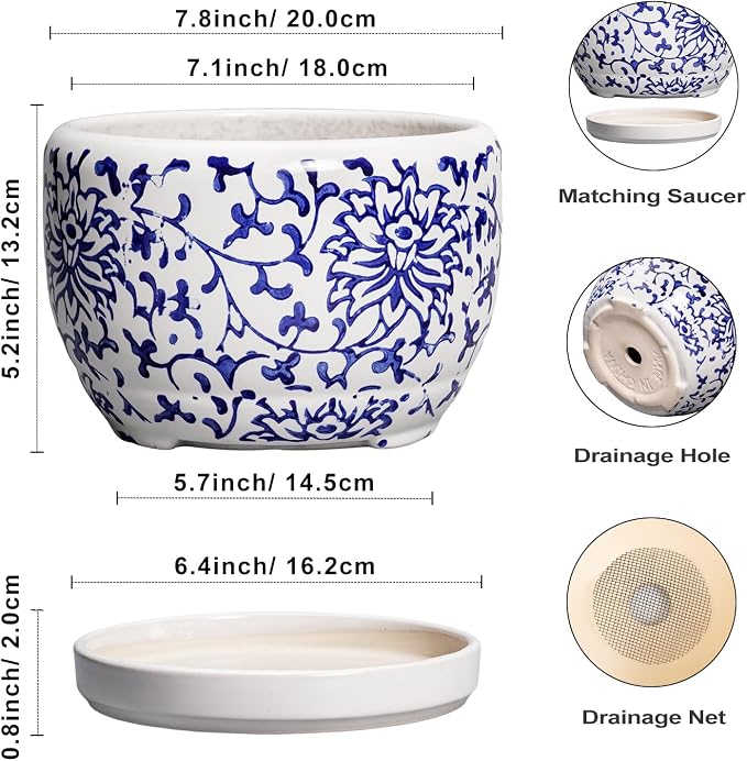 SQOWL Ceramic Pots for Plants - Image 3