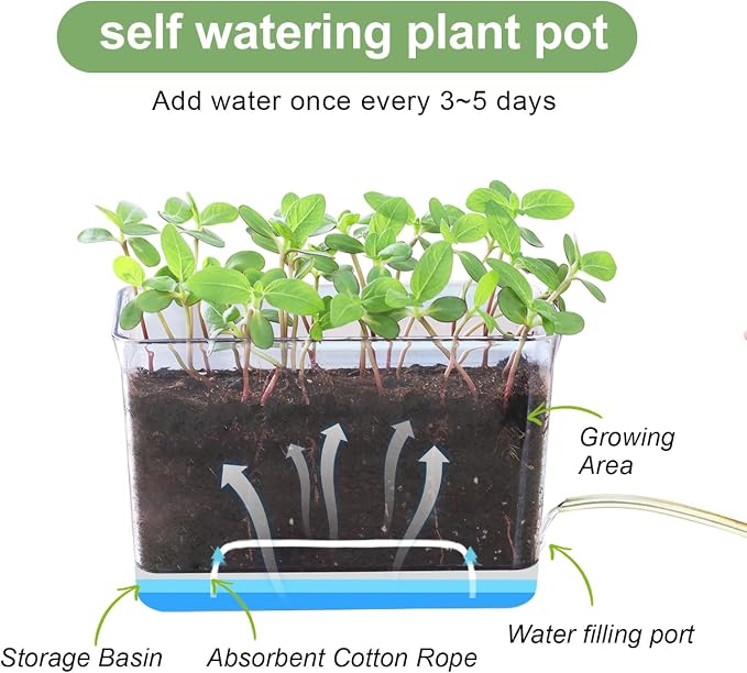Self Watering Planters - Image 4
