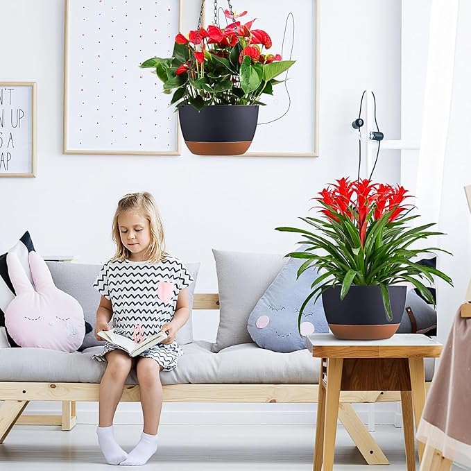 Hanging Planters for Indoor Plants - Image 3