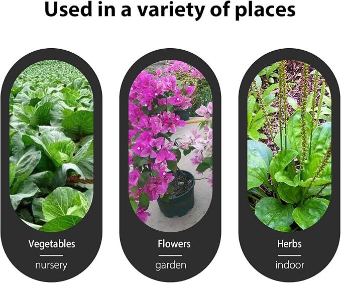 Green Plant labels - Image 6