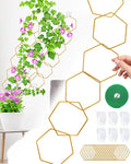 18 Pcs Chain Trellis for Climbing Plants, Potted Houseplant Accessories for Hoya by Unknown