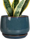 G EPGardening Ceramic Pot for Plants by GEPGardening