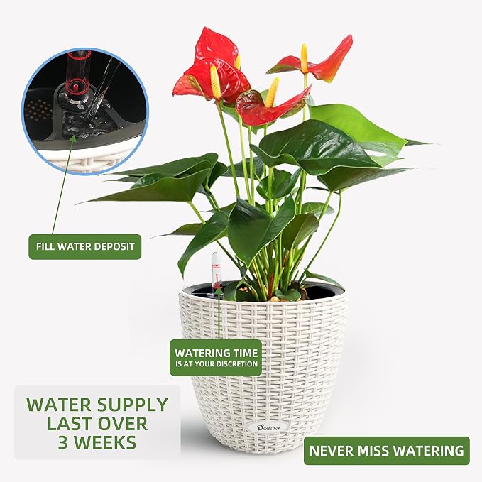 Dexceder 9x8 Inches Rattan Self Watering Planter Indoor Outdoor, Inner Pot - Image 5