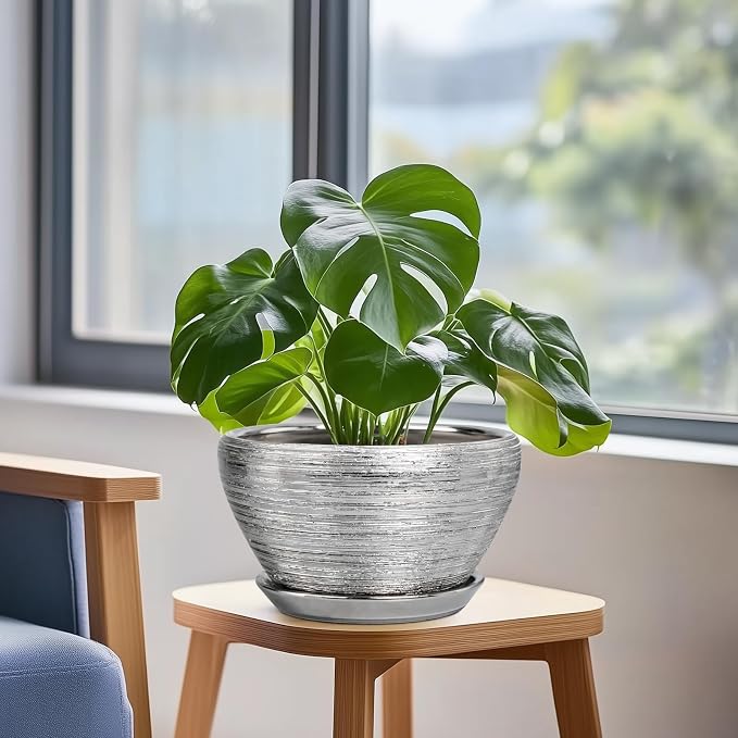 Pot for Plants 9 Inch - Image 4