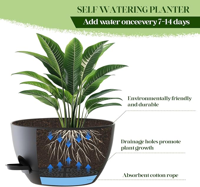 2 Pack 10 Inch Self Watering Hanging Planters - Image 6