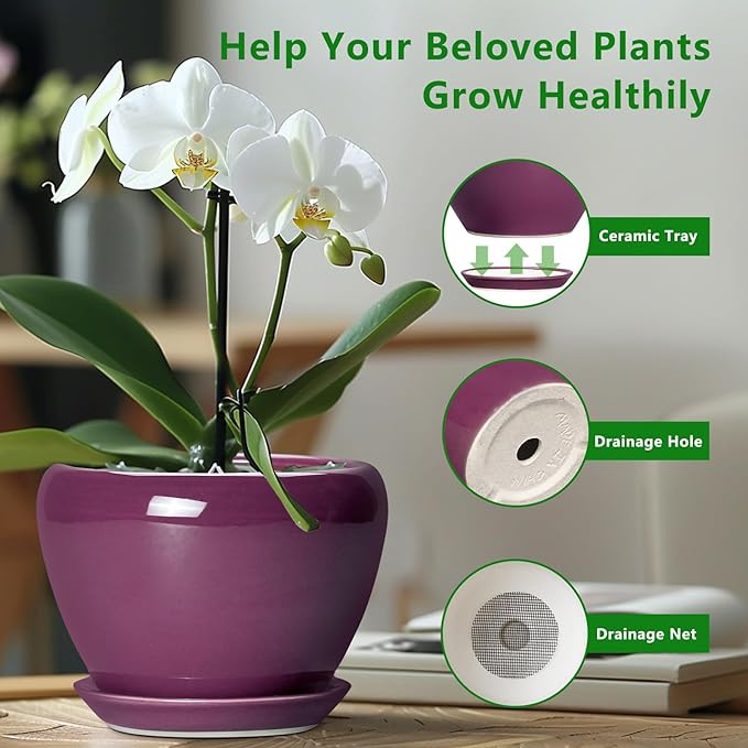 10 Inch Plant Pot - Image 5