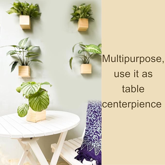 LaLaGreen Wooden Planter Box for Plants Small Square Wall Planters for Indoor - Image 3