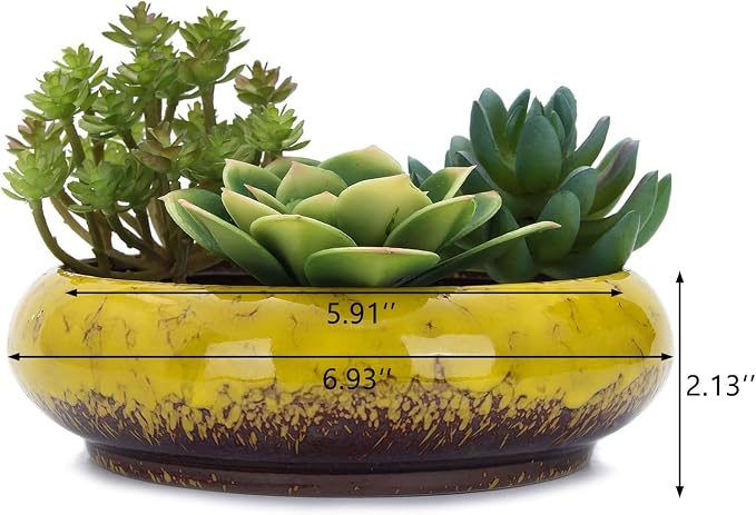 VanEnjoy 7.3 inch Round Large Shallow Succulent Ceramic Glazed Planter Pots - Image 2