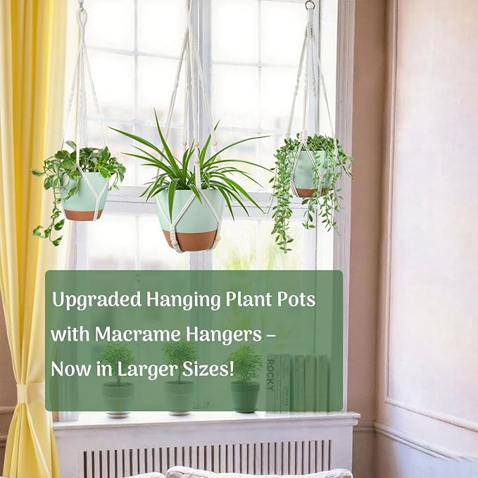 Larege Hanging Planters with Macrame Plant Hangers - Image 3