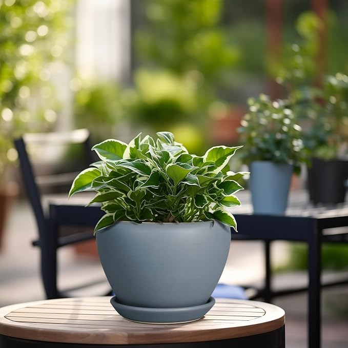 Ceramic Pot for Plants - Image 4