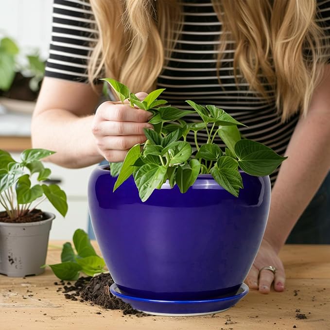 Ceramic Plant Pot 8 Inch - Image 7