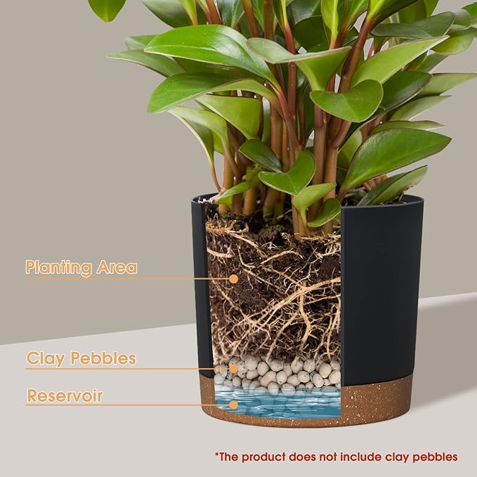 kubvici Plant Pots for Indoor Plants, 2 Pack 8 Inch Plastic Flower Pot Planters - Image 4