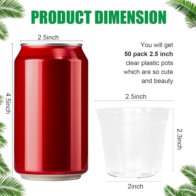 BTPLASTIK 50 Pack 2.5 Inch Clear Nursery Pots - Image 2