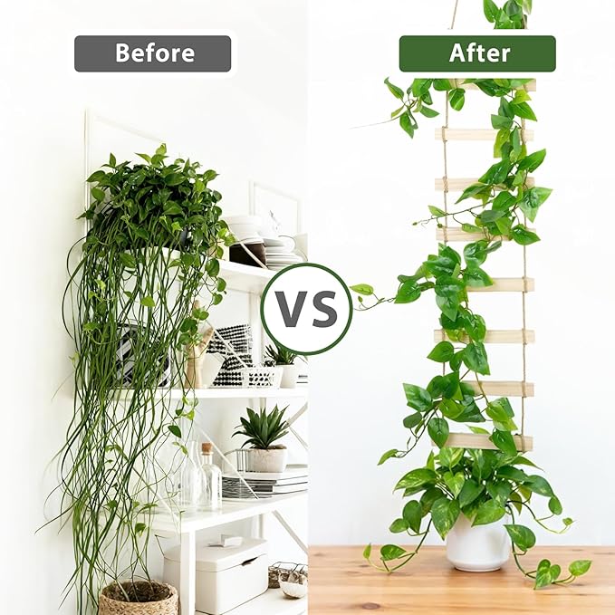 Wooden Ladder Plant Trellis for Climbing Plants – 6ft Extra Tall Indoor & - Image 3