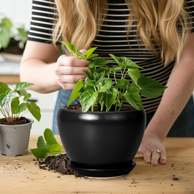 Ceramic Planter Pot - Image 5