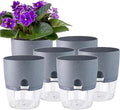 6 Inch Self Watering Pots for Indoor Plants, 6 Pack Grey Plastic Flower Pots by Oliz