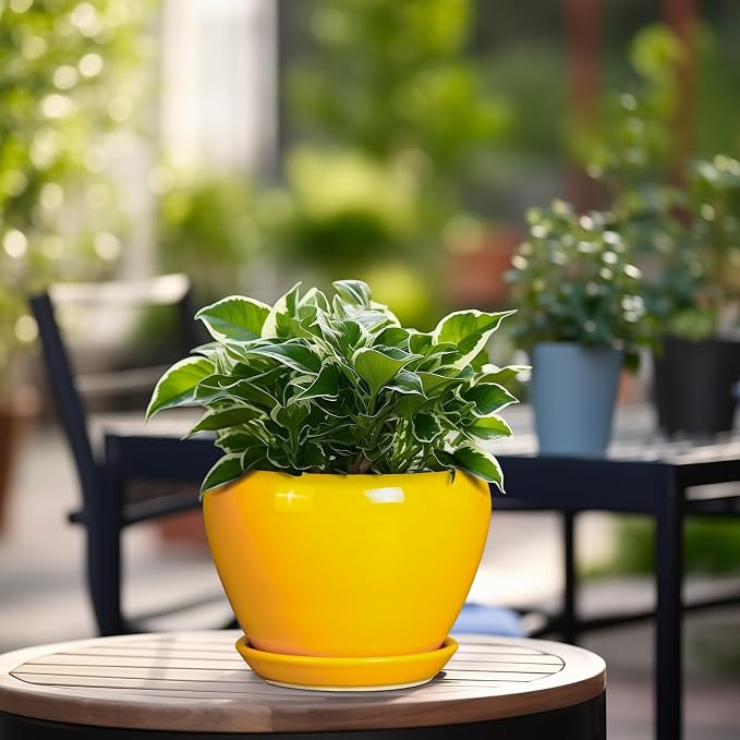 Ceramic Pot for Plants - Image 4