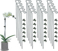 20 Pack Plant Support Stakes by Auaok