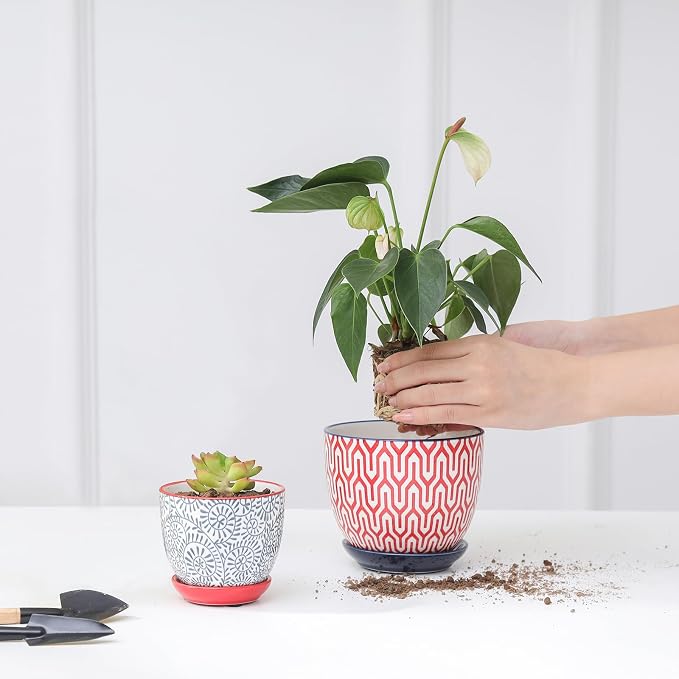 Selamica Ceramic Succulent Pots, 3.5 Inch Small Plant Pots - Image 6