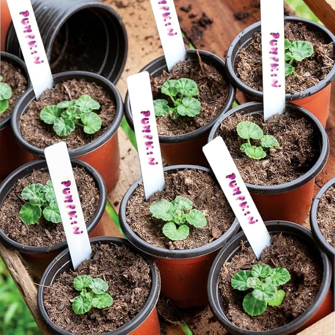 Plant Nursery Pot/Pots 200 Pcs 4" Plastic Small Plants Pots Flower Pots Seed - Image 2
