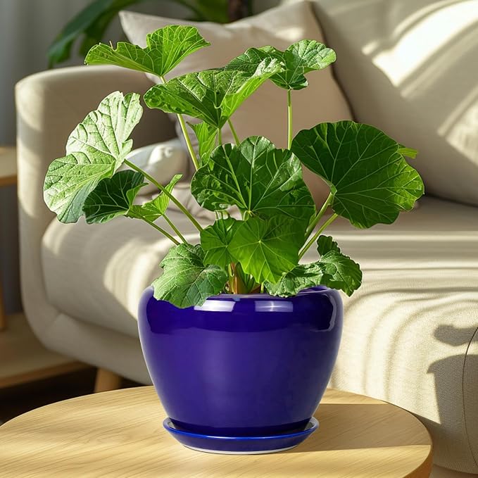 Ceramic Plant Pot 8 Inch - Image 4