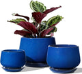 LE TAUCI Plant Pots, 4.1+5.1+6.5 inch, Ceramic Planters by LETAUCI