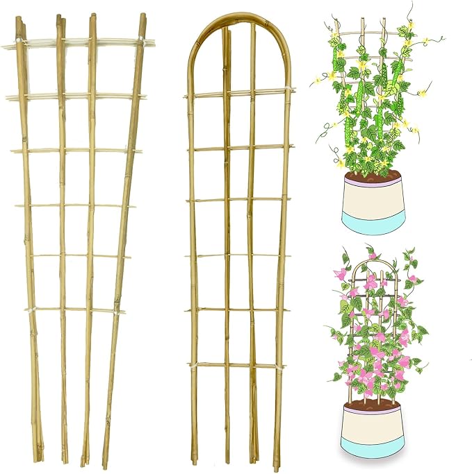 Natural Bamboo Trellis, Fan-Shaped+U-Shape, Plant Support Trellis by GUANGYE