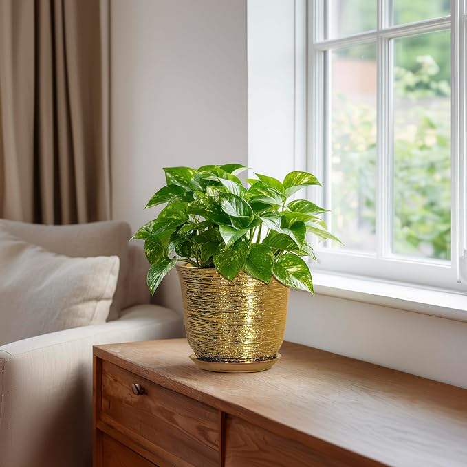 5.6 Inch Plant Pot - Image 5