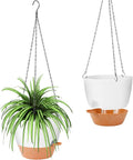 GARDIFE Hanging Planter, 10 inch Hanging planters by GARDIFE