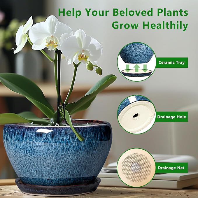 Ceramic Pots for Plants - Image 5