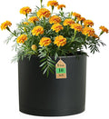 10 Inch Round Plastic Plant Pot by WSMKSZ