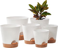FaithLand 6-Pack White Self Watering Planter Pots by FaithLand