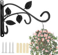 Axgo Wall Mount Hanging Plant Hook, Rust-Resistant Metal Plant Hanger by Unknown