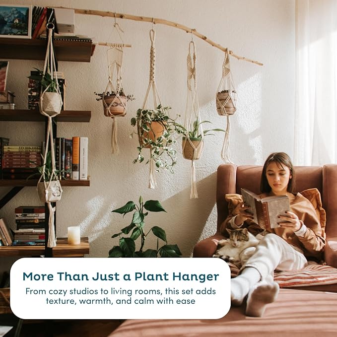 Nook Theory 6-Pack Macrame Plant Hangers - Image 6