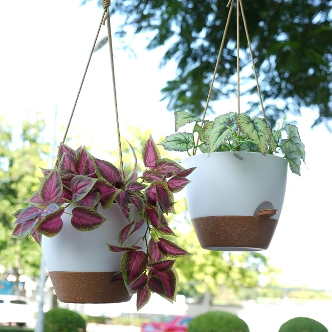 8 inch Hanging Planters, 2 Pack Self Watering Hanging Pots - Image 5