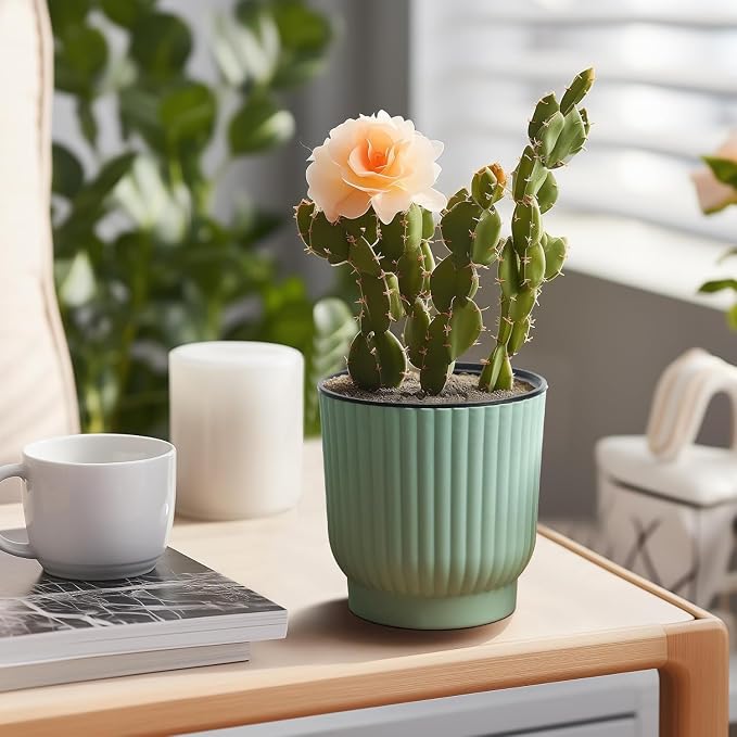T4U 4.5 Inch Plant Pots Self Watering, 6 Pack African Violet Pots, Small Plant - Image 8